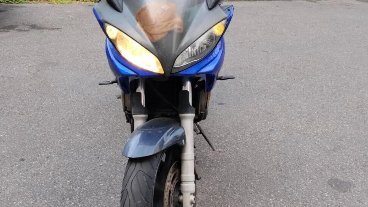 Yamaha FZ6 Fazer (2004 - 07)  (2)