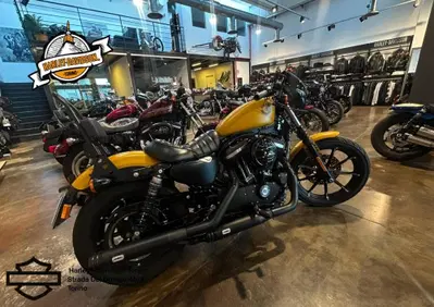 Harley-Davidson 883 Iron (2017 - 20) - XL 883N - Annuncio 10073302