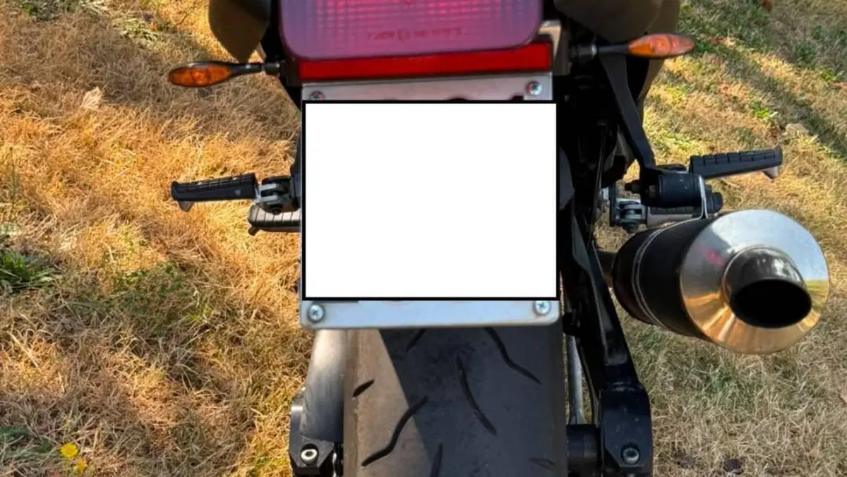 Triumph Speed Triple 900 (1993 - 02)  (7)