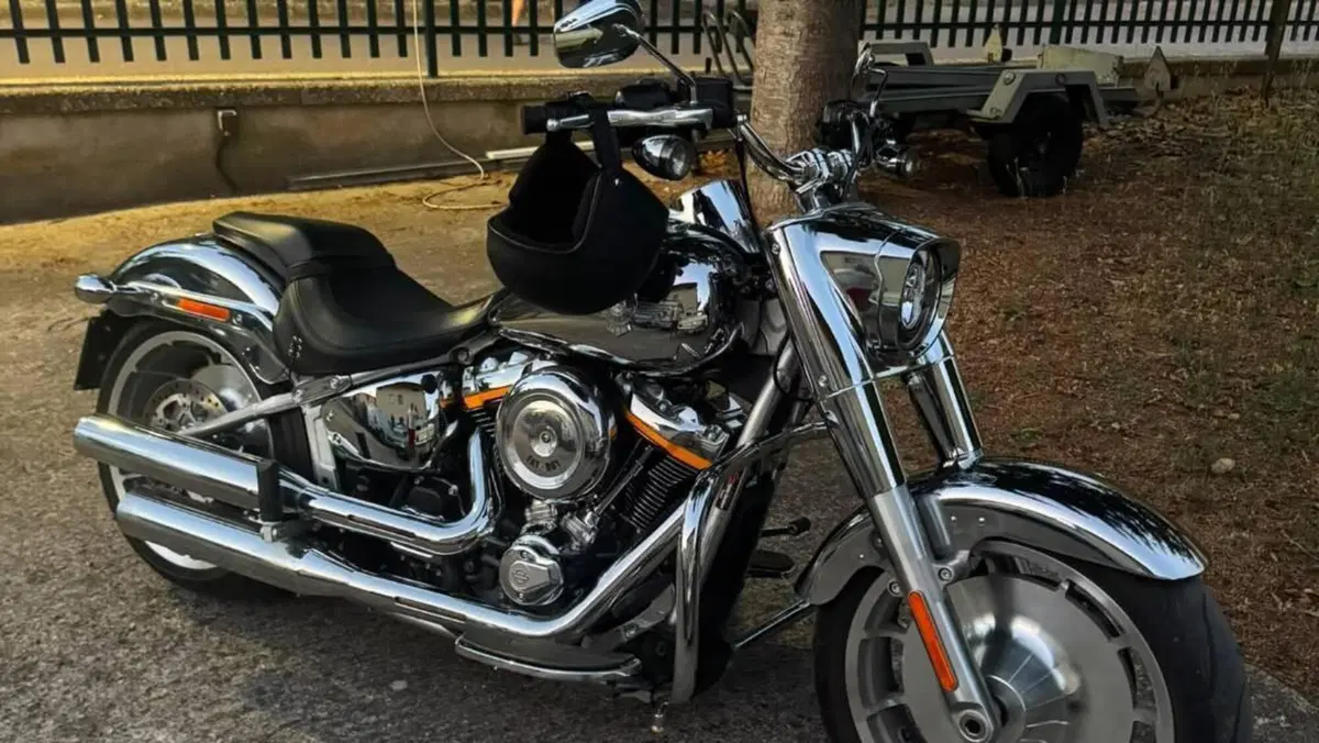 Harley-Davidson Fat Boy Gray Ghost (2025) 