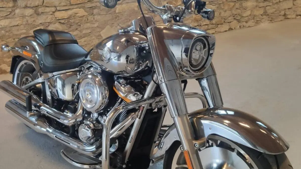 Harley-Davidson Fat Boy Gray Ghost (2025)  (6)