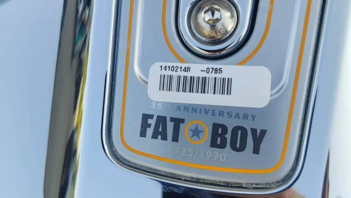 Harley-Davidson Fat Boy Gray Ghost (2025)  (3)