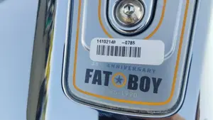 Harley-Davidson Fat Boy Gray Ghost (2025)  (3)