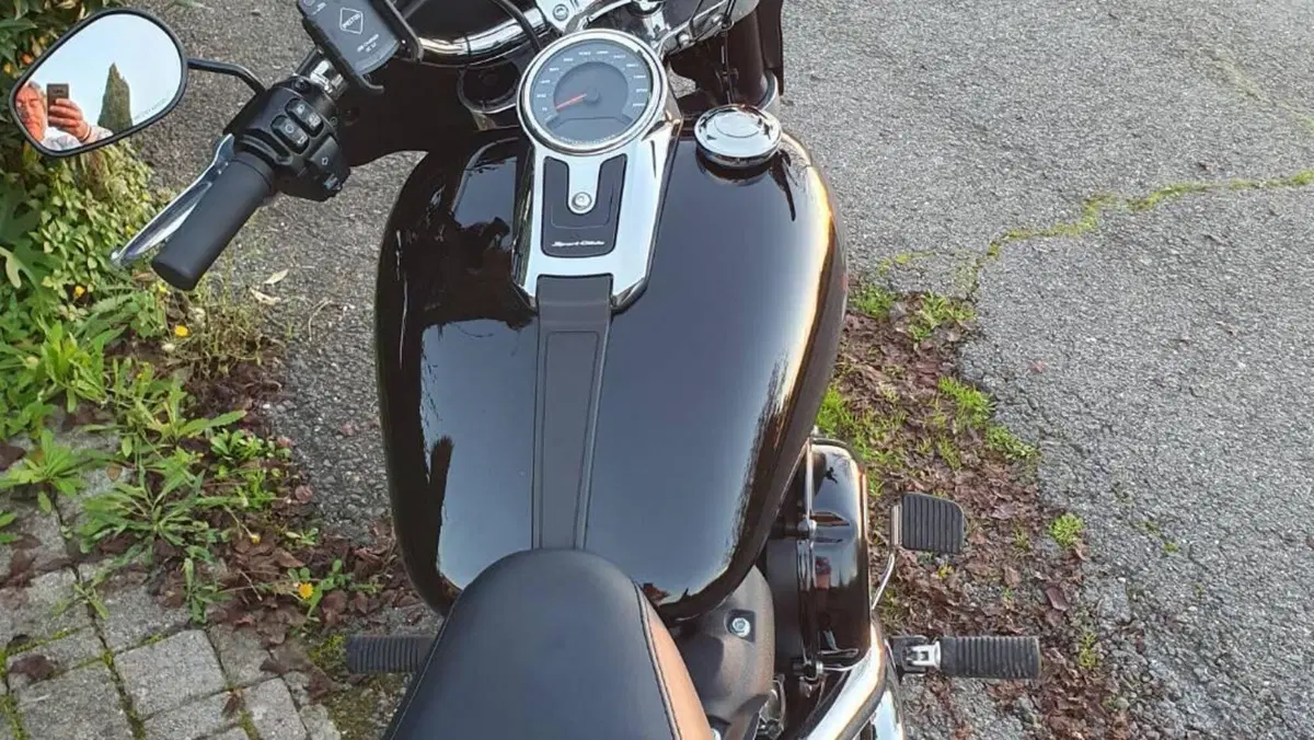 Harley-Davidson Sport Glide (2021 - 25)  (4)