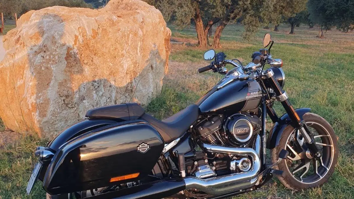Harley-Davidson Sport Glide (2021 - 25)  (10)