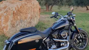 Harley-Davidson Sport Glide (2021 - 25)  (12)
