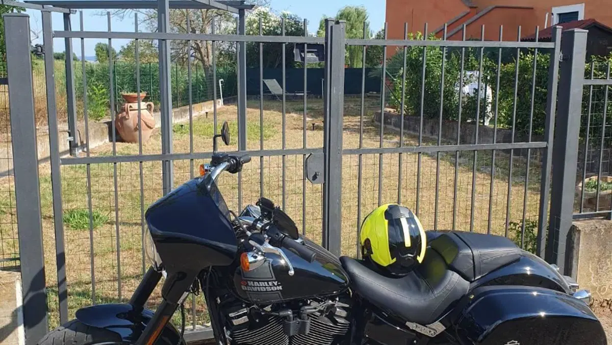 Harley-Davidson Sport Glide (2021 - 25)  (15)