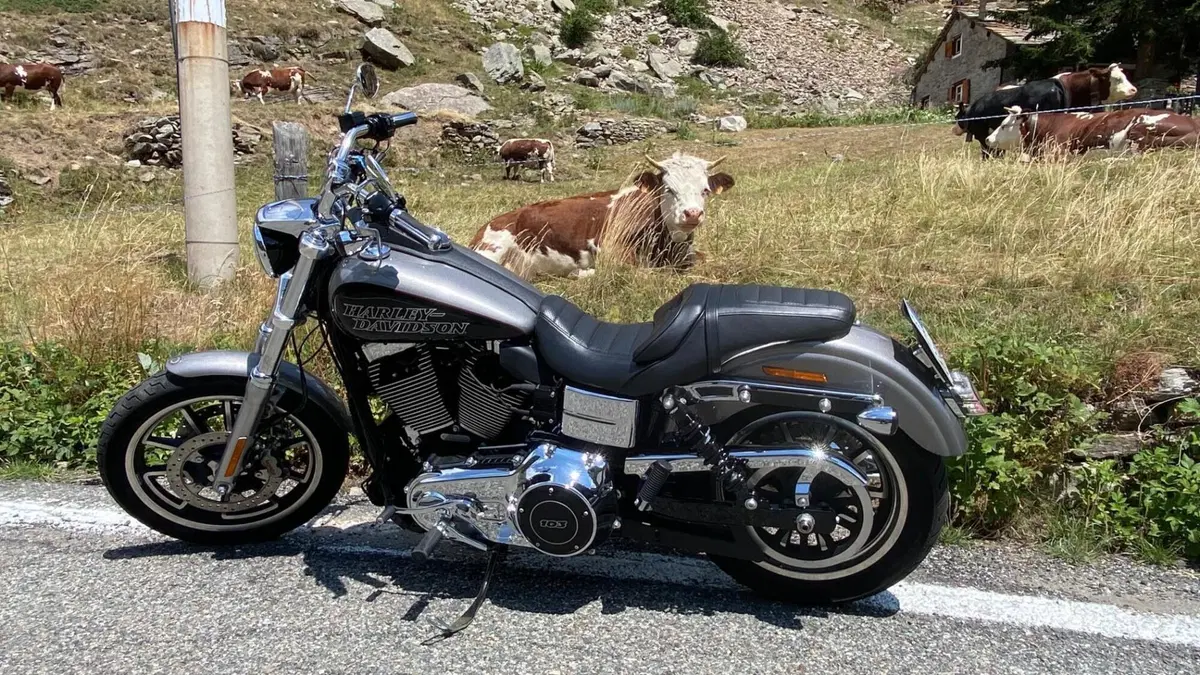 Harley-Davidson 1690 Low Rider (2014 - 17) - FXDL 