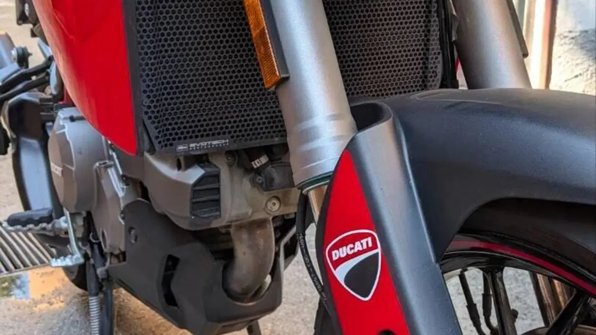 Ducati Multistrada 950 S (2021)  (15)