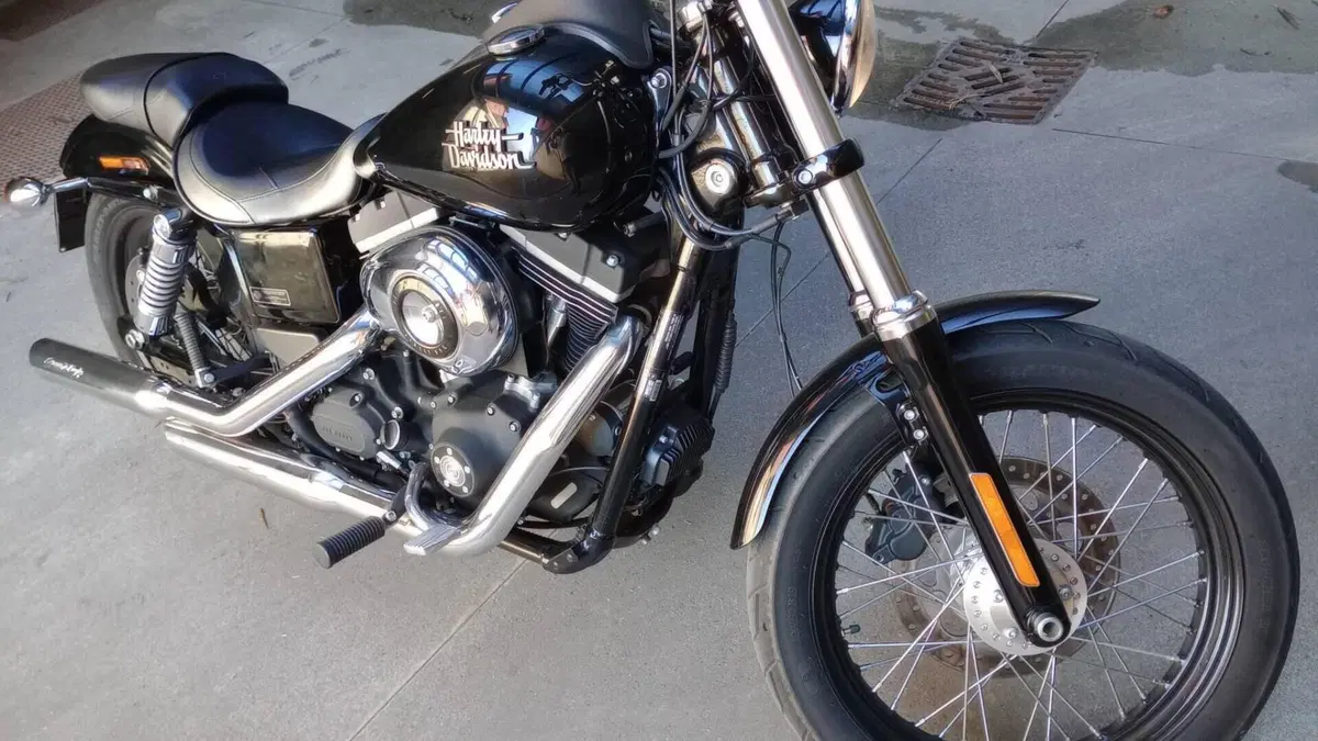 Harley-Davidson 1584 Street Bob (2008 - 15) - FXDB  (3)