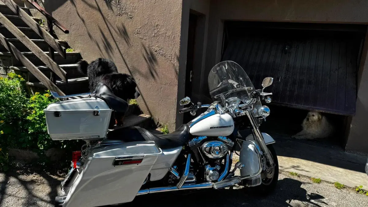 Harley-Davidson 1450 Road King Custom (2005 - 06) - FLHRS  (3)