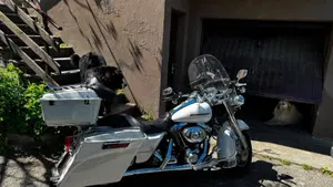 Harley-Davidson 1450 Road King Custom (2005 - 06) - FLHRS  (3)