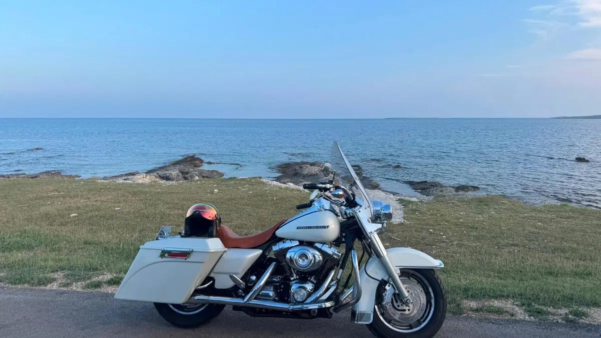 Harley-Davidson 1450 Road King Custom (2005 - 06) - FLHRS  (2)