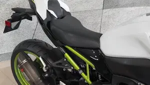 Kawasaki Z 900 Performance (2021 - 24)  (4)