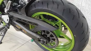 Kawasaki Z 900 Performance (2021 - 24)  (5)