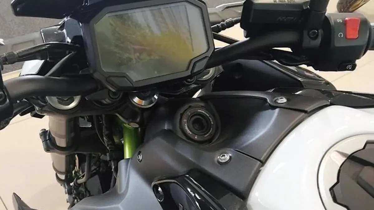 Kawasaki Z 900 Performance (2021 - 24)  (6)