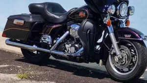 Harley-Davidson 1450 Electra Glide Standard (2001 - 03) - FLHT  (2)