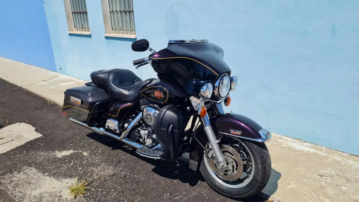 Harley-Davidson 1450 Electra Glide Standard (2001 - 03) - FLHT  (5)