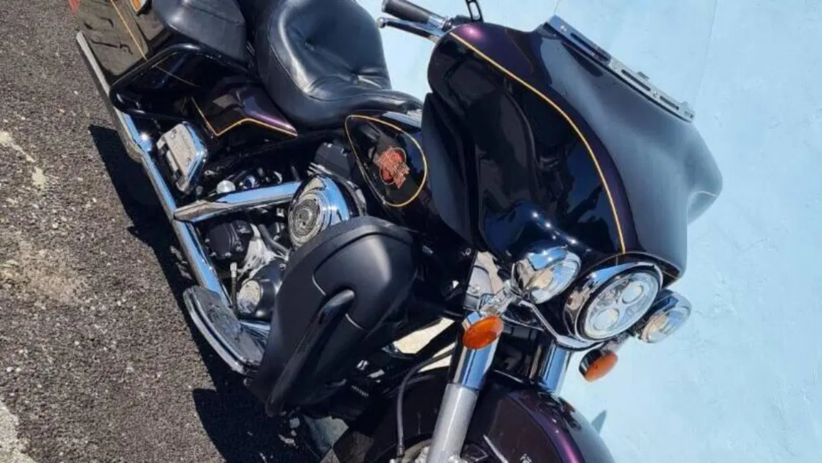 Harley-Davidson 1450 Electra Glide Standard (2001 - 03) - FLHT  (6)