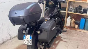 Harley-Davidson Street Bob 114 (2021 - 24)  (7)