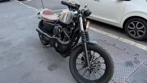 Harley-Davidson 883 Iron (2009 - 11) - XL 883N  (2)