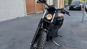 Harley-Davidson 883 Iron (2009 - 11) - XL 883N  (3)
