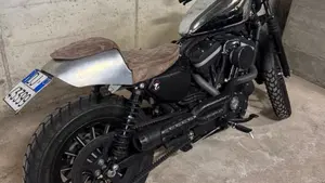 Harley-Davidson 883 Iron (2009 - 11) - XL 883N  (8)
