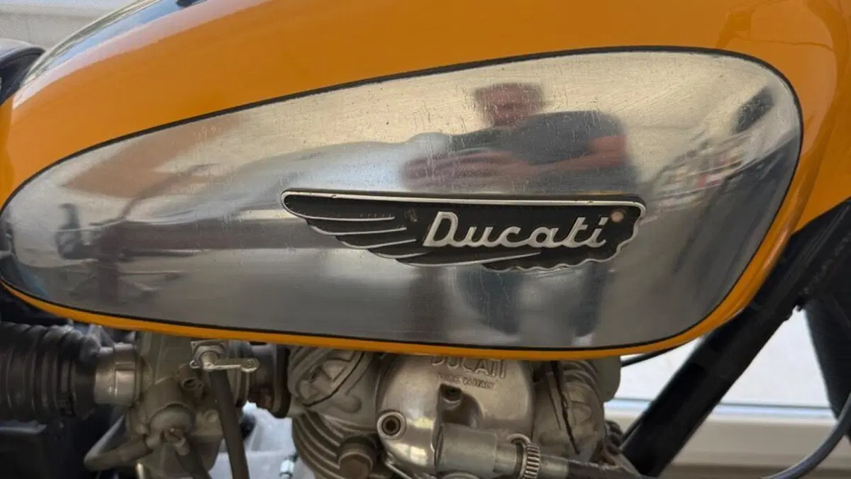 Ducati   (5)