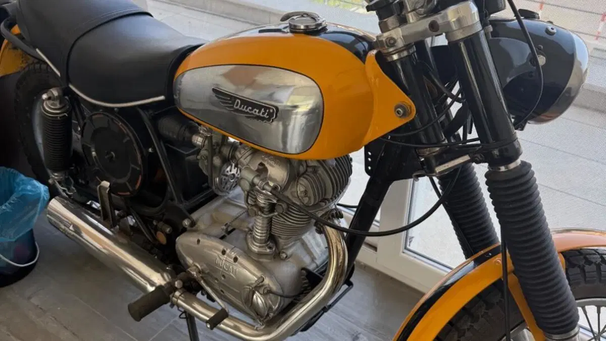 Ducati   (6)