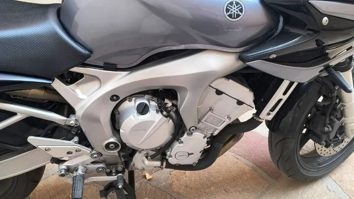 Yamaha FZ6 Fazer (2004 - 07)  (7)