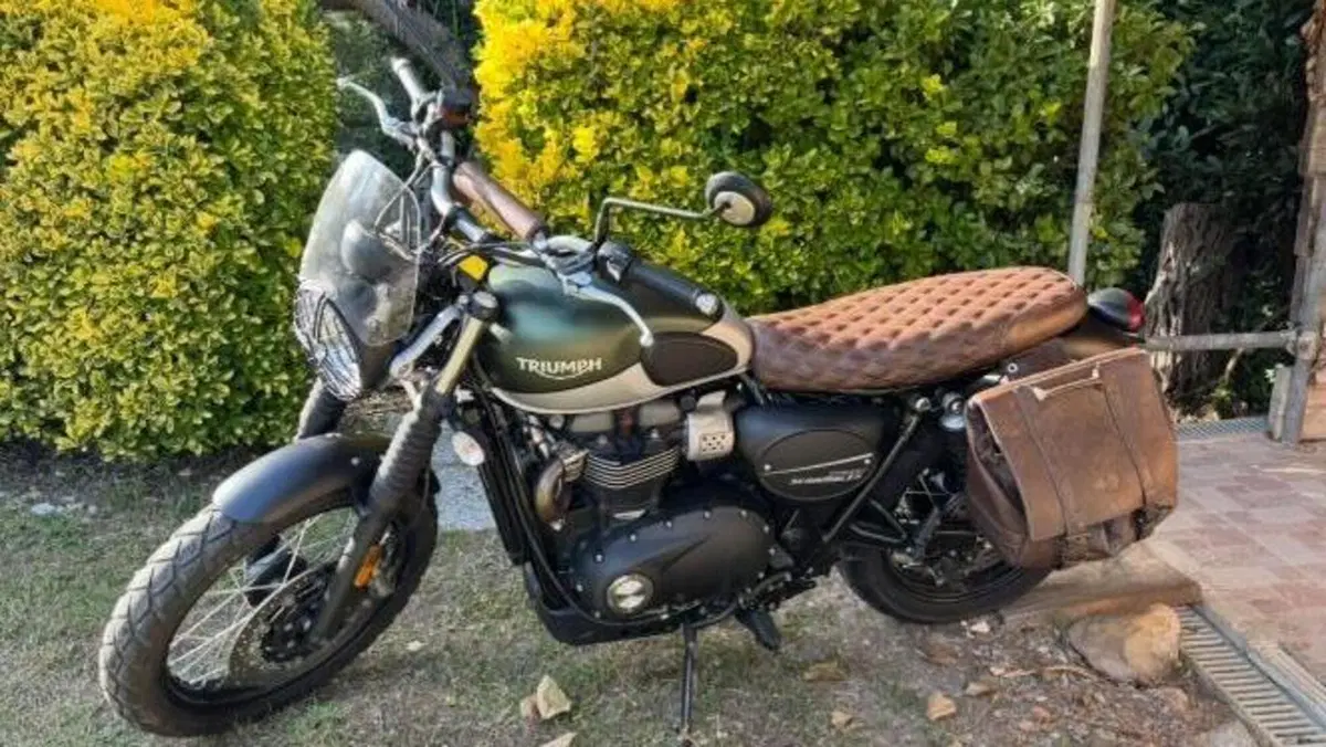 Triumph Street Scrambler 900 (2021 - 22) 