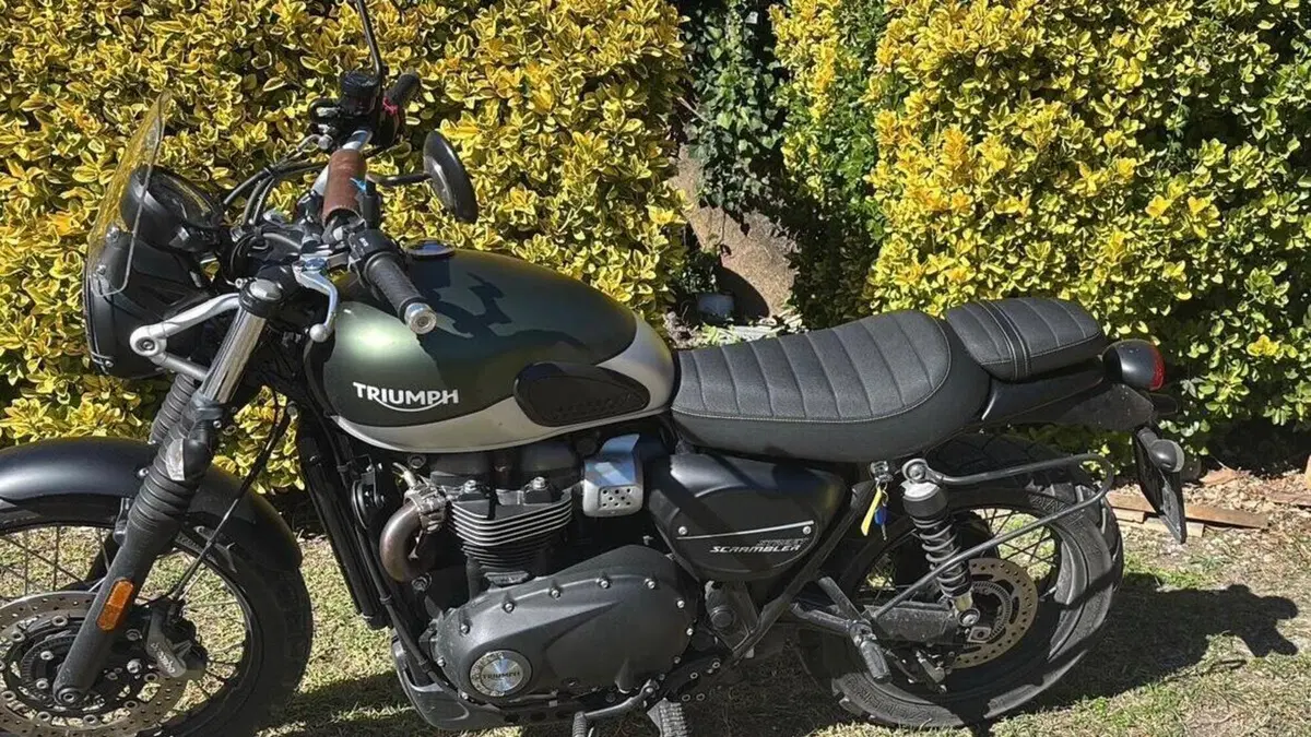 Triumph Street Scrambler 900 (2021 - 22)  (4)