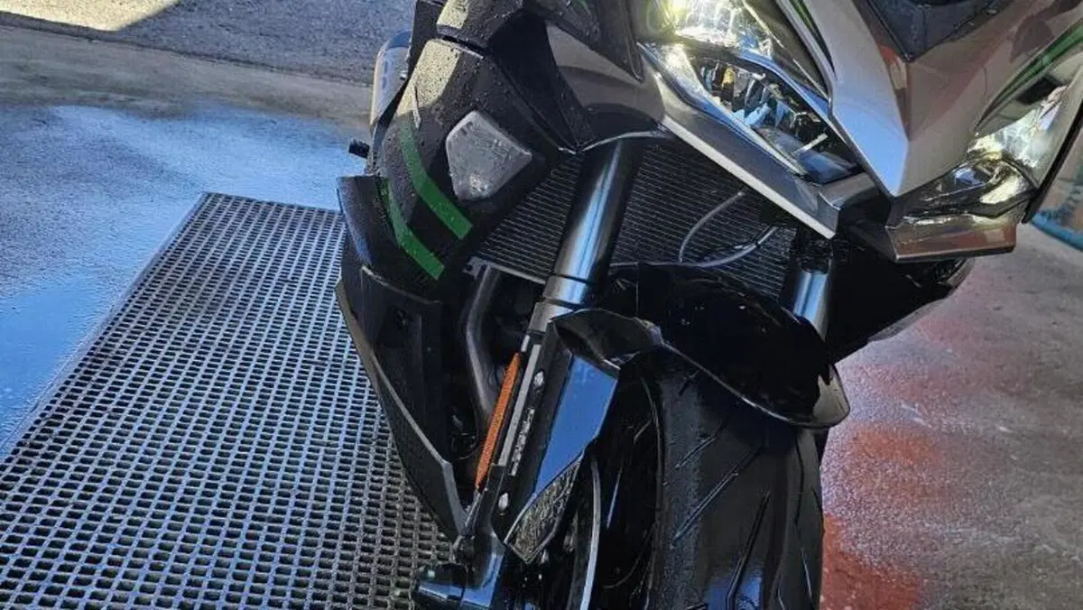 Kawasaki Ninja 1000 SX (2020)  (2)