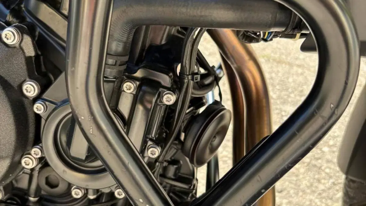 Bmw F 800 GS (2024 - 26)  (4)