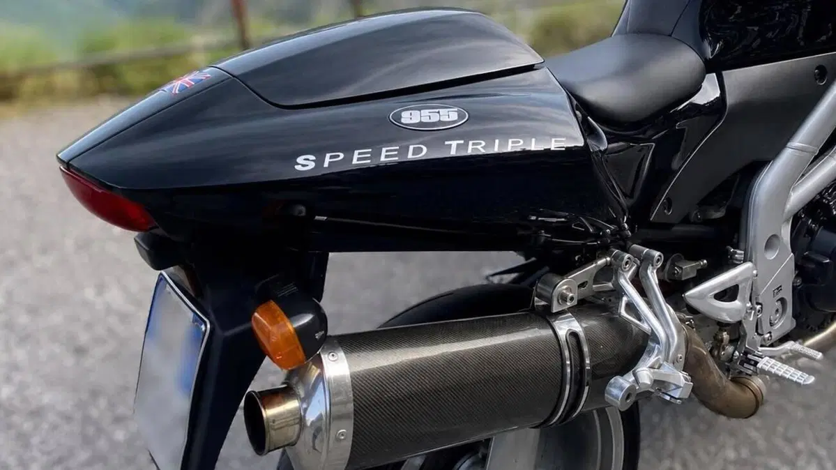 Triumph Speed Triple 955 (2002 - 04)  (4)