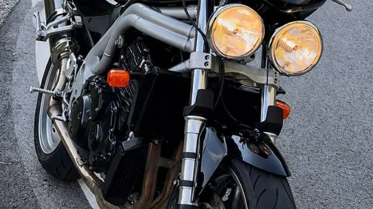 Triumph Speed Triple 955 (2002 - 04) 