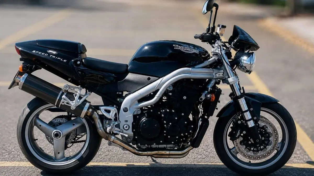 Triumph Speed Triple 955 (2002 - 04)  (2)