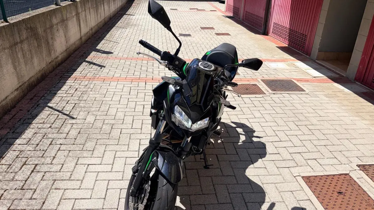 Kawasaki Z 650 (2025 - 26)  (4)