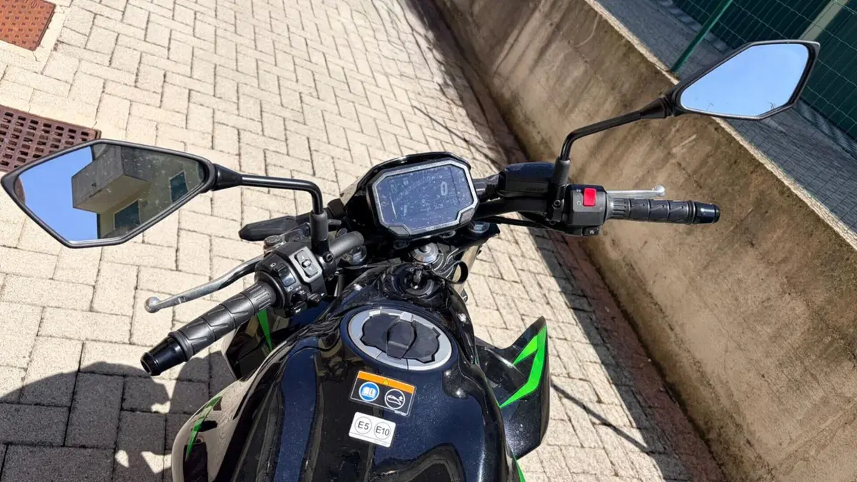 Kawasaki Z 650 (2025 - 26)  (7)