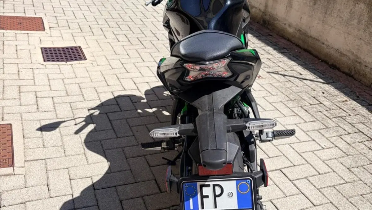 Kawasaki Z 650 (2025 - 26)  (8)
