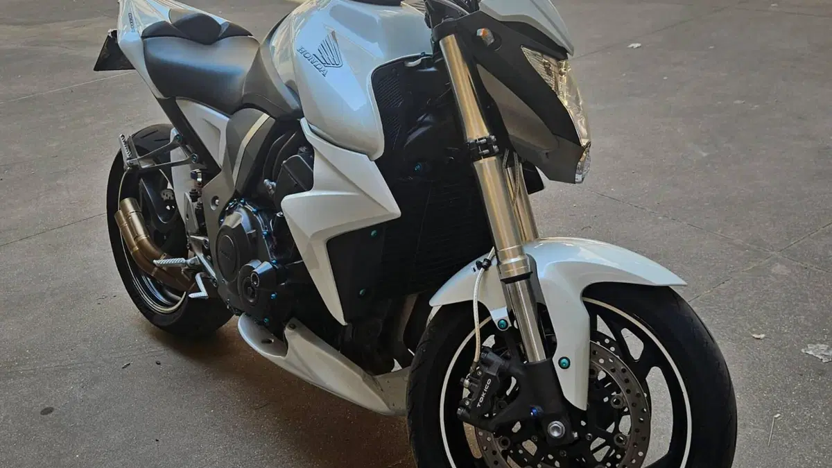 Honda CB 1000 R (2008 - 10)  (10)