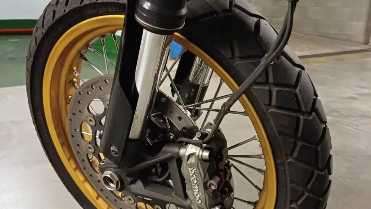 Ducati Scrambler 800 Desert Sled (2017 - 20)  (8)
