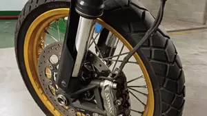 Ducati Scrambler 800 Desert Sled (2017 - 20)  (8)