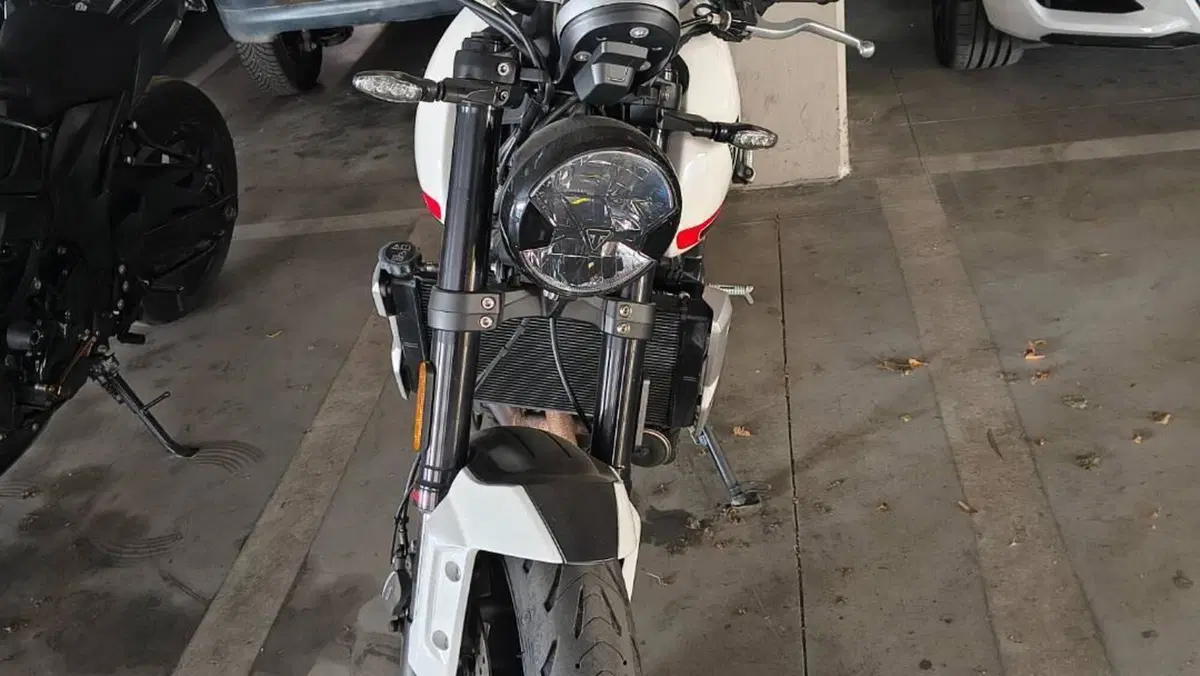 Triumph Trident 660 (2021 - 24)  (2)
