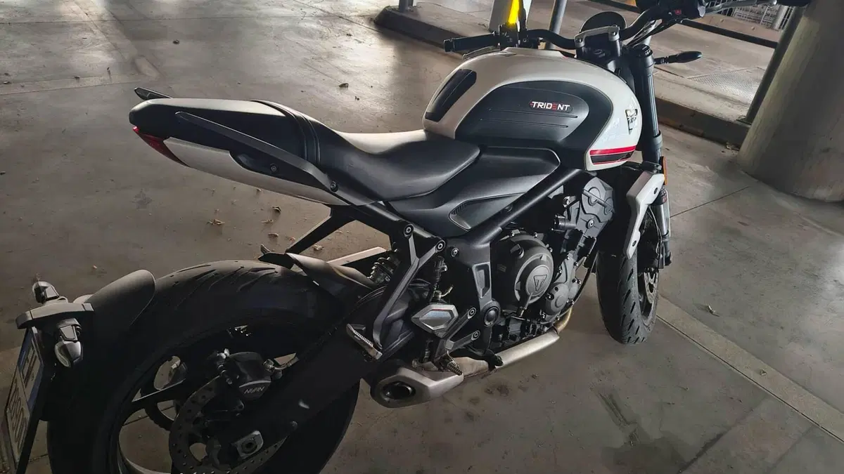 Triumph Trident 660 (2021 - 24)  (3)