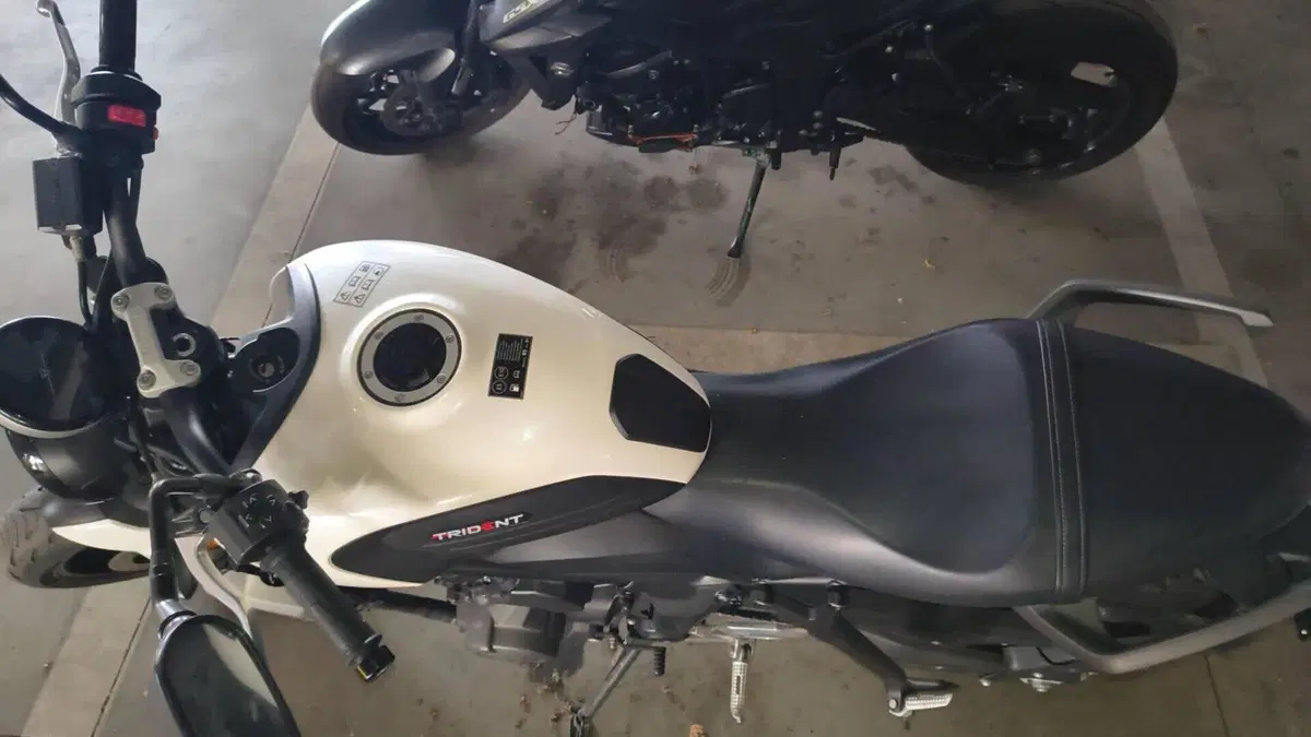 Triumph Trident 660 (2021 - 24)  (8)
