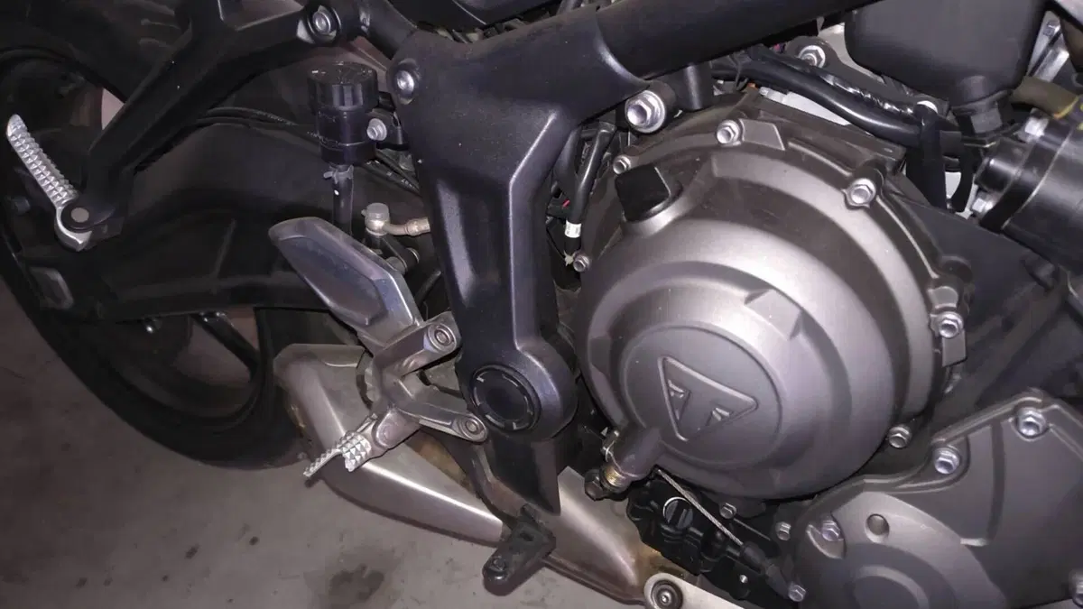 Triumph Trident 660 (2021 - 24)  (9)