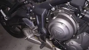 Triumph Trident 660 (2021 - 24)  (9)