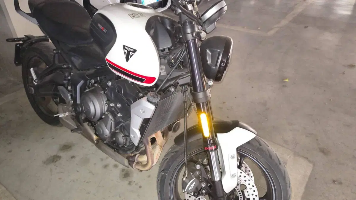 Triumph Trident 660 (2021 - 24)  (11)