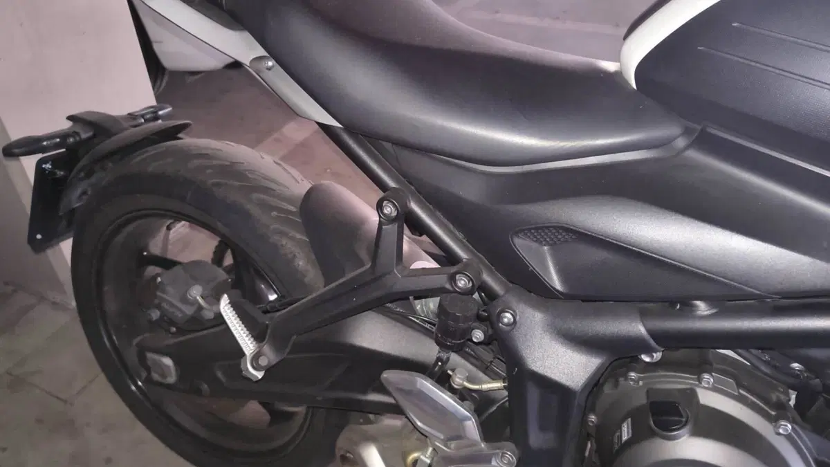 Triumph Trident 660 (2021 - 24)  (12)